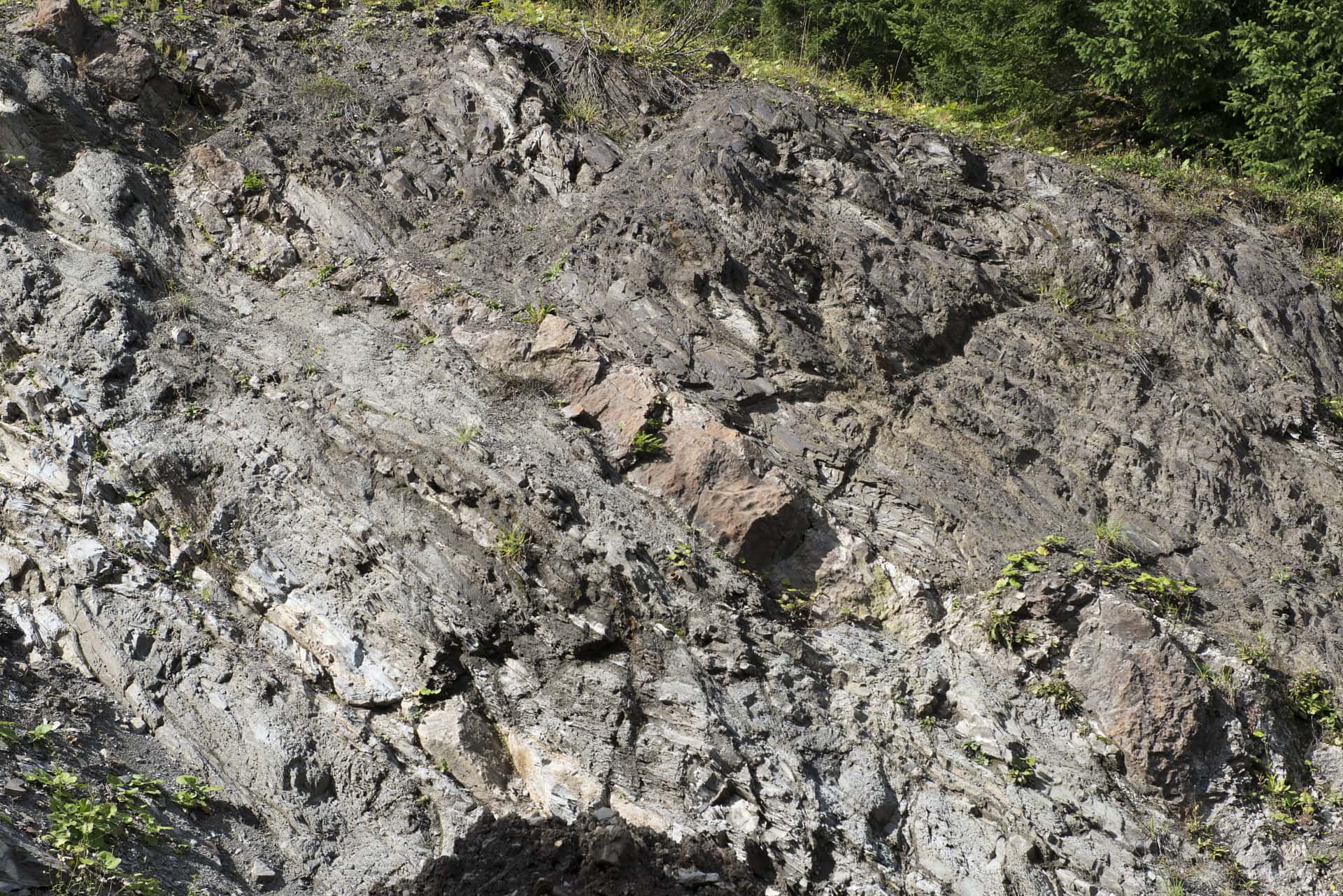 Ölschieferschichten im Tagebau der Tiroler Steinölwerke im Bächental