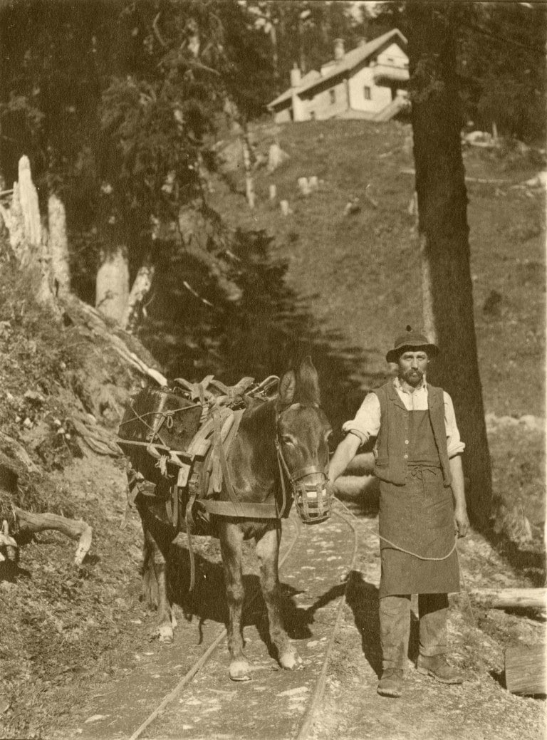 Arbeiter mit Muli im Bächental