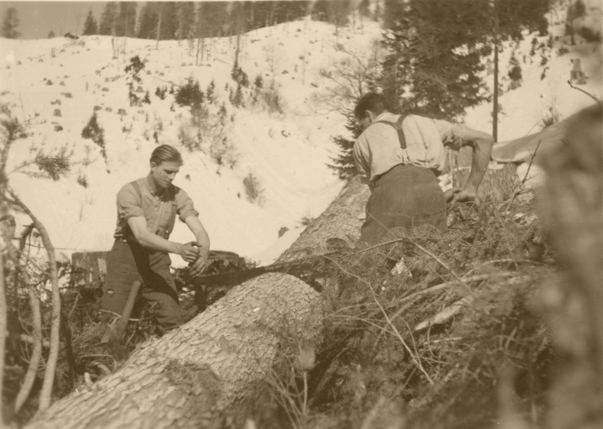 Die Brüder Albrecht bei Holzarbeiten im Bächental