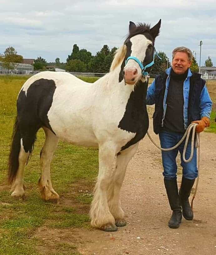 Tiroler Steinöl Spezialisten 1 Klaus Häneke
