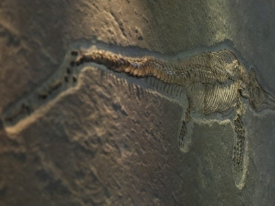 4W6A1754 kopie scaled
