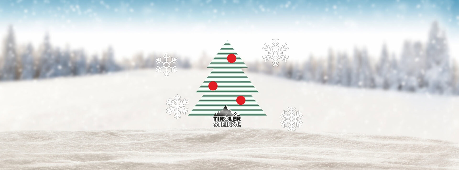 2025 Weihnachtsaktion